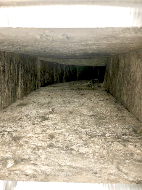 mold in air ducts